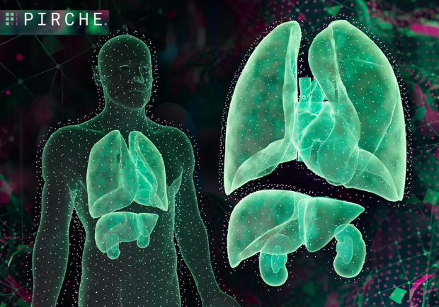 Pirche AI Platform for Transplant Medicine